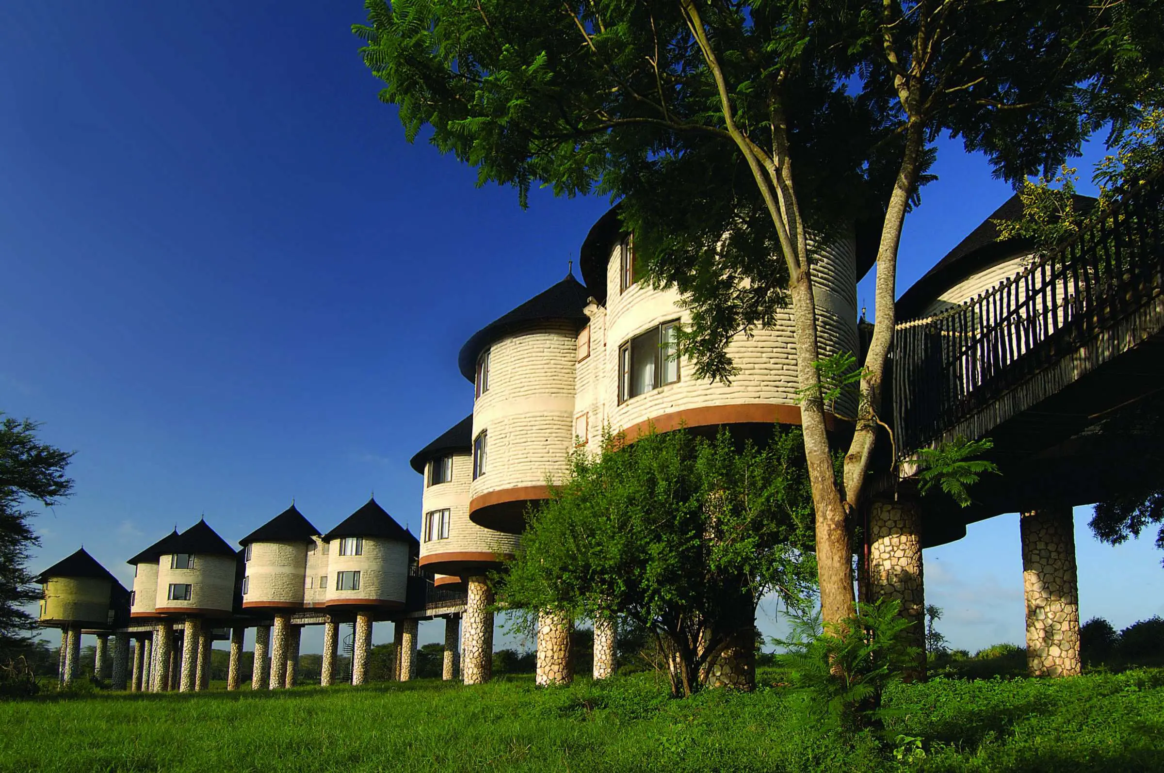 Salt Lick Safari Lodge, Kenya