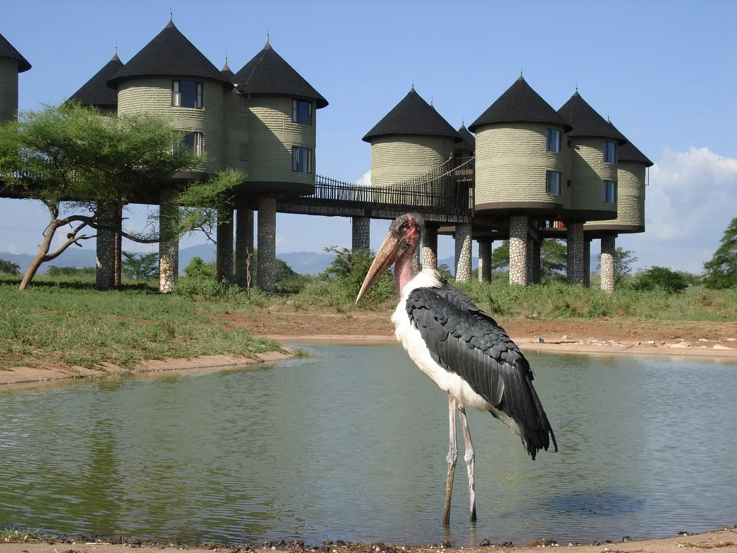 Salt Lick Safari Lodge, Kenya